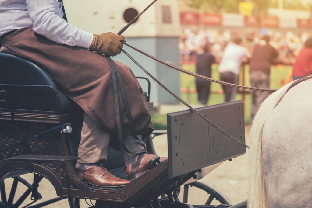 Rider of horse drawn carriage