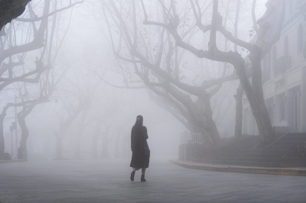 lushan mountain landscape of street in fog