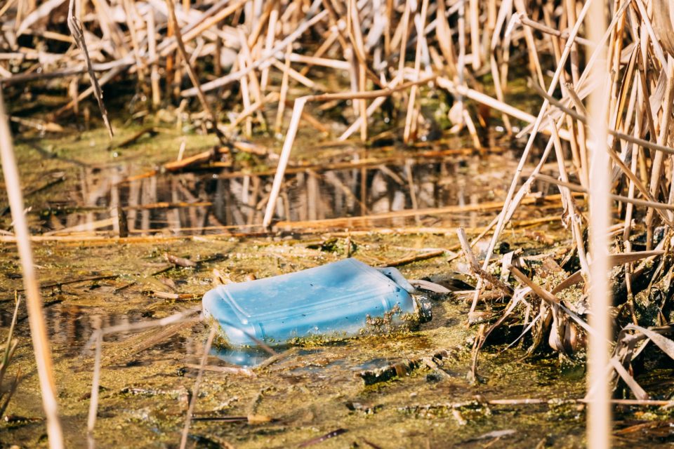 Old Plastic Canister Floats In Water Of Swamp Or Pond. Used Empt