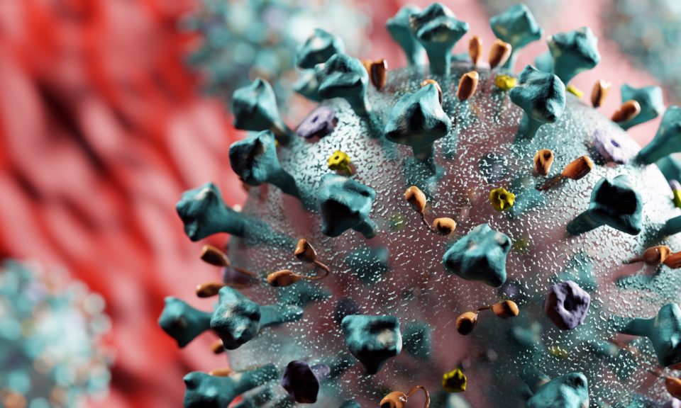 Coronavirus attack in microscopic view. Virus from Wuhan