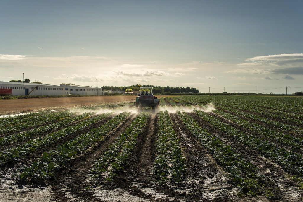 An agricultural tractor sprays plants with chemicals and pestici