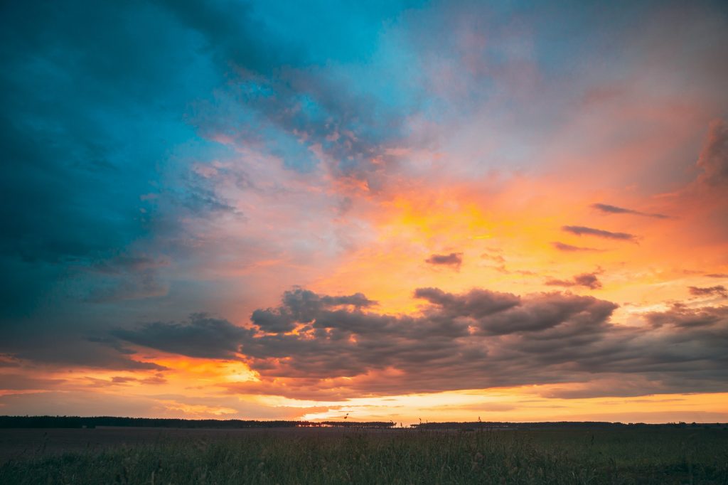 Spring Summer Meadow At Evening Sunset Sunrise. Natural Bright D