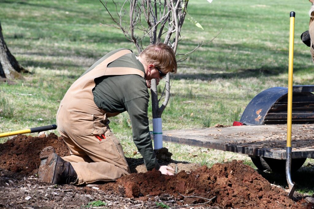 A man planting a tree at the park - real people