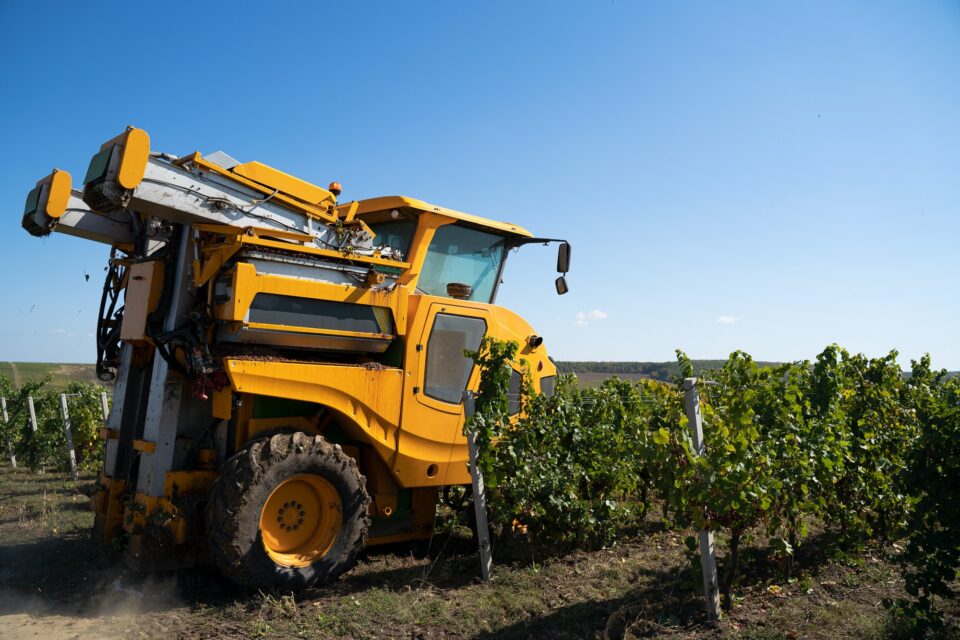agricultural grape harvesting machine