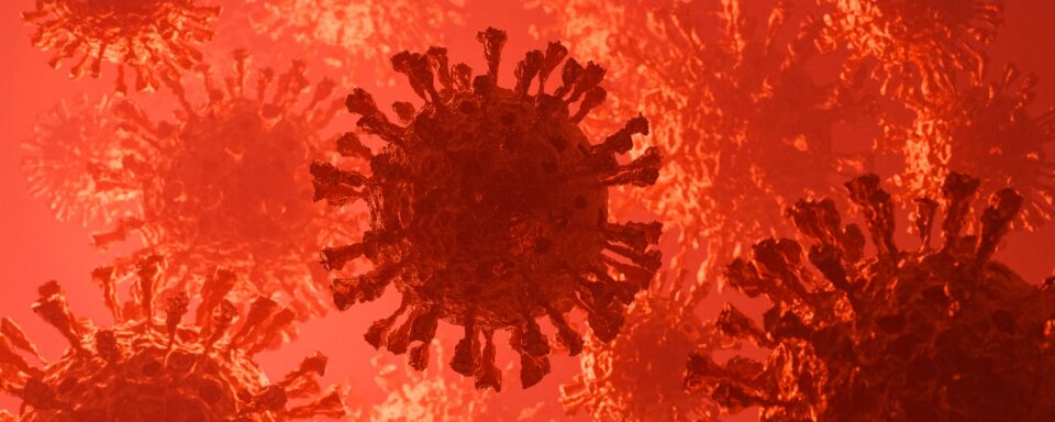 Image of Flu virus cell under the microscope on the blood. Coronavirus Covid-19 outbreak influenza