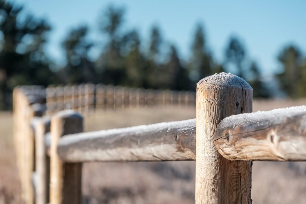 Hoarfrost on the fence