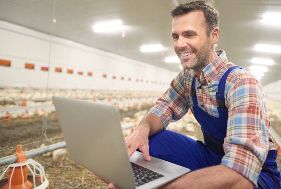 Farmer using laptop in the farm business