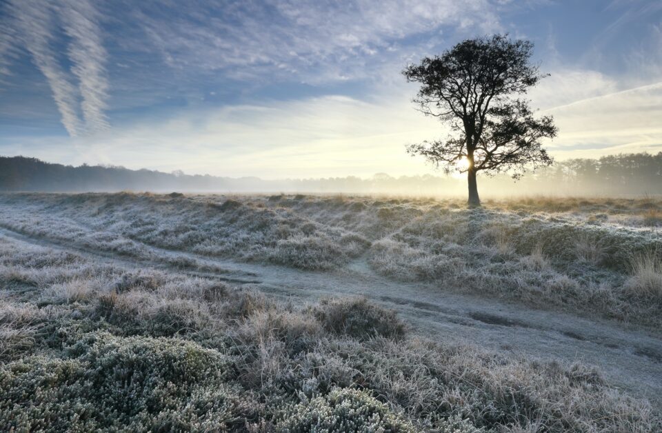 sunrise over frosted meadow on cold morning
