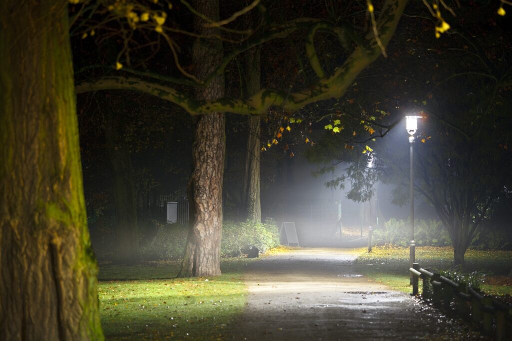 Foggy Autumn Night In A Park