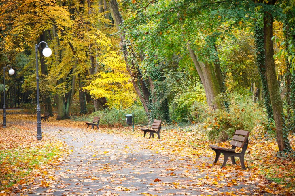 Autumnal park in october, Footpath with bench for relaxation