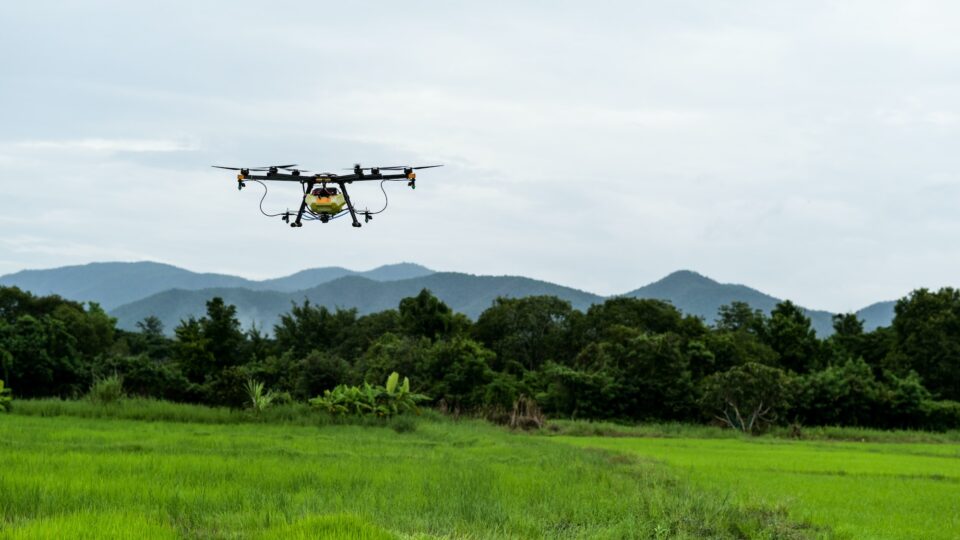 Drones for spraying fertilizers and chemicals in agriculture, modern agriculture.