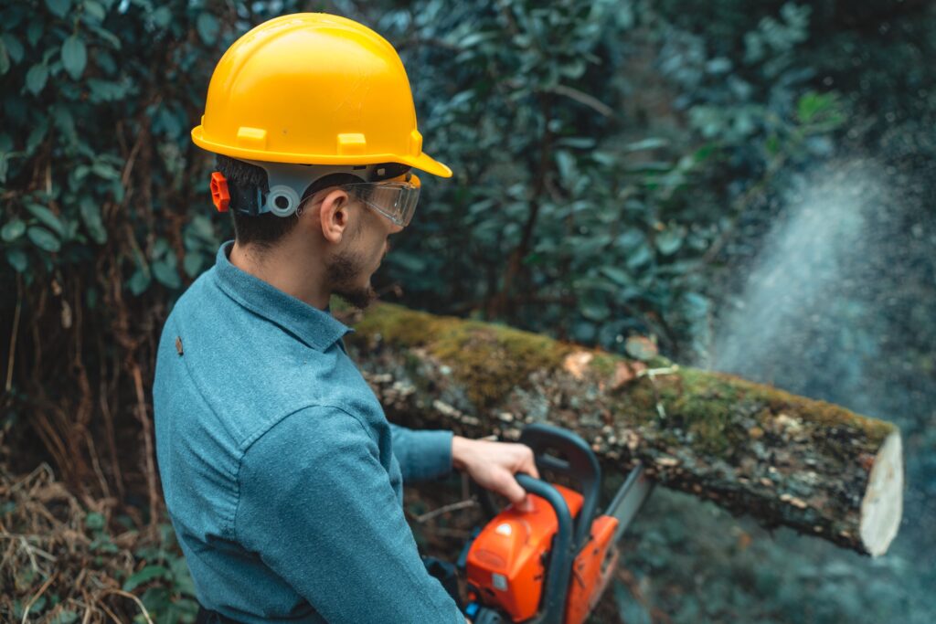 Man cutting wood in forest petrol chainsaw